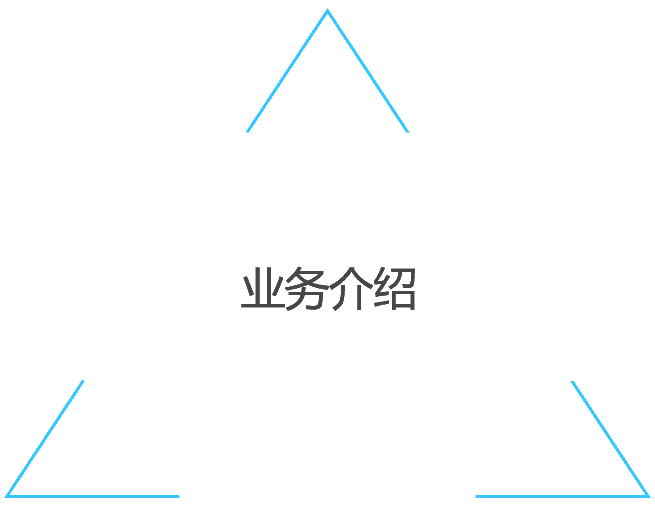 业务流程